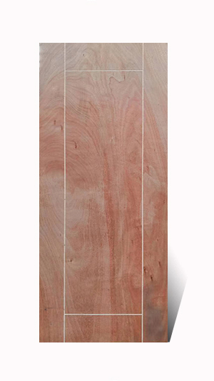 Top Stylish Plywood Door Designs with Budget-Friendly Prices