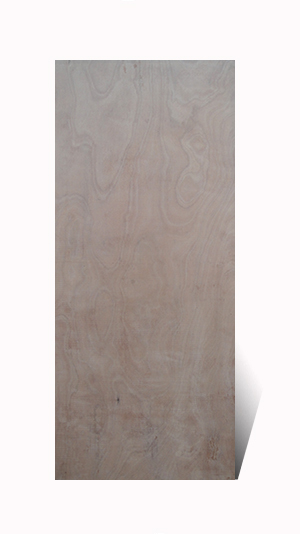plywood door